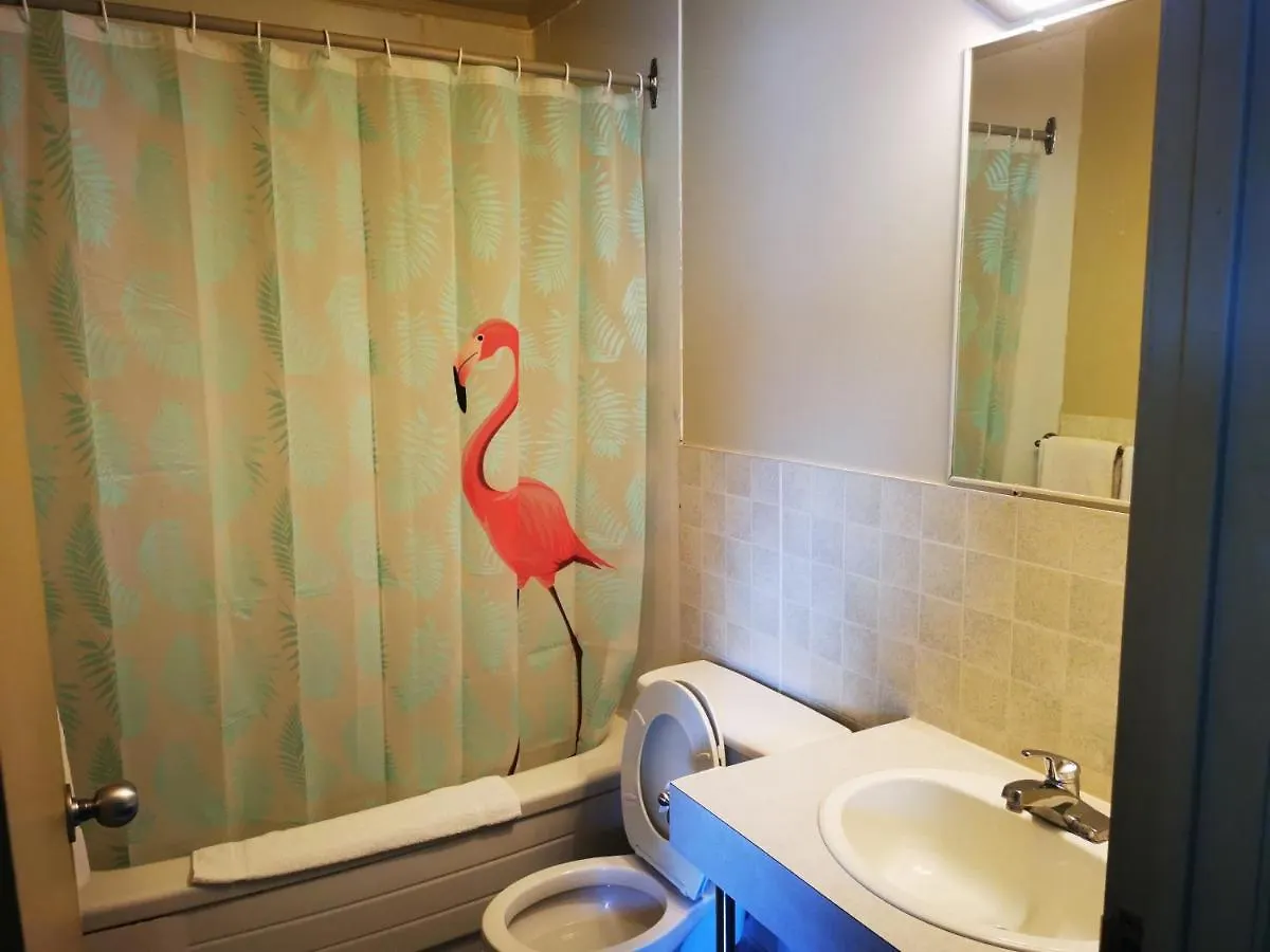 Somerset Hotel Swan Lake Motel